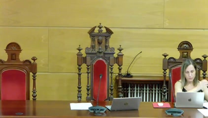 Sesión Ordinaria do Pleno -...